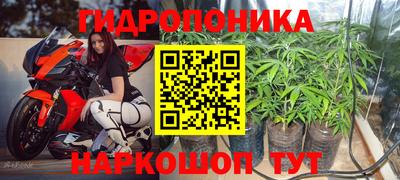 амф Анапа